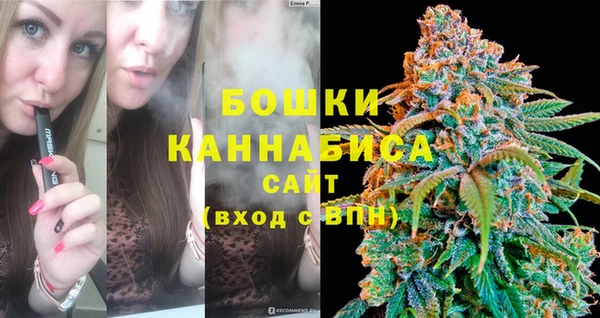 ГАЛЛЮЦИНОГЕННЫЕ ГРИБЫ Абаза