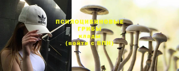кокаин колумбия Алексин