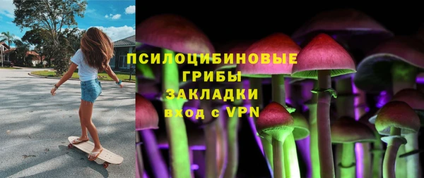 ГАЛЛЮЦИНОГЕННЫЕ ГРИБЫ Абаза