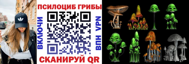наркотики  Партизанск  Галлюциногенные грибы мухоморы 