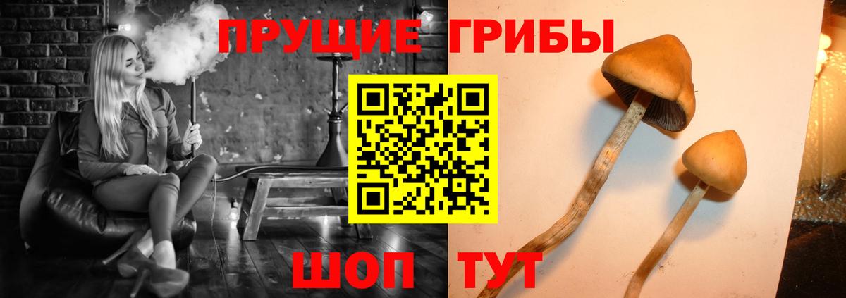 Партизанск  как найти закладки  Вход с VPN  Галлюциногенные грибы Cubensis 